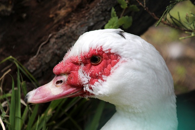 遭遇两连败和欧冠首败，国米本赛季四战强队全部告负